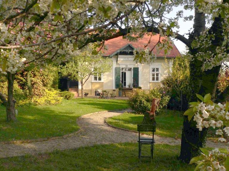 Villa Mimi Sopron Dış mekan fotoğraf