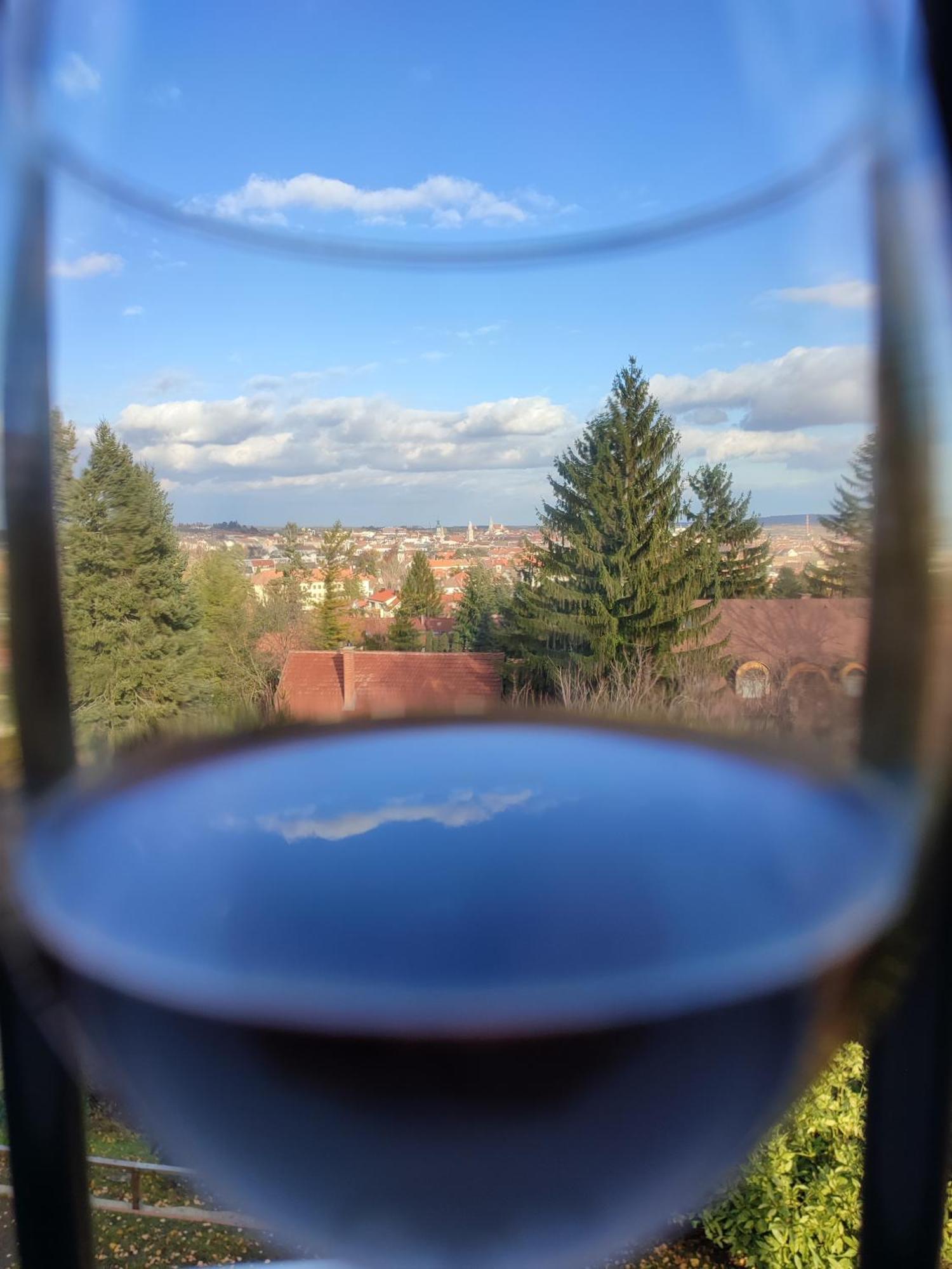 Villa Mimi Sopron Dış mekan fotoğraf